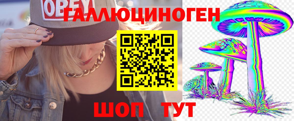 Псилоцибиновые грибы Cubensis  Вход с VPN  Галлюциногенные грибы GOLDEN TEACHER  Элиста 